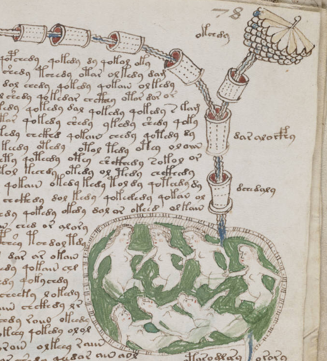 A photo of a page from the Voynich Manuscript showing some of its undeciphered text inside an illustration of seven female figures bathing or swimming in a green liquid. This verdant liquid is connected to what looks a pipe running through unknown cylinders. In the top right and corner of the page, the pipe breaks off into another branch with then seems to flower into something resembling a pine cone cut in half.  