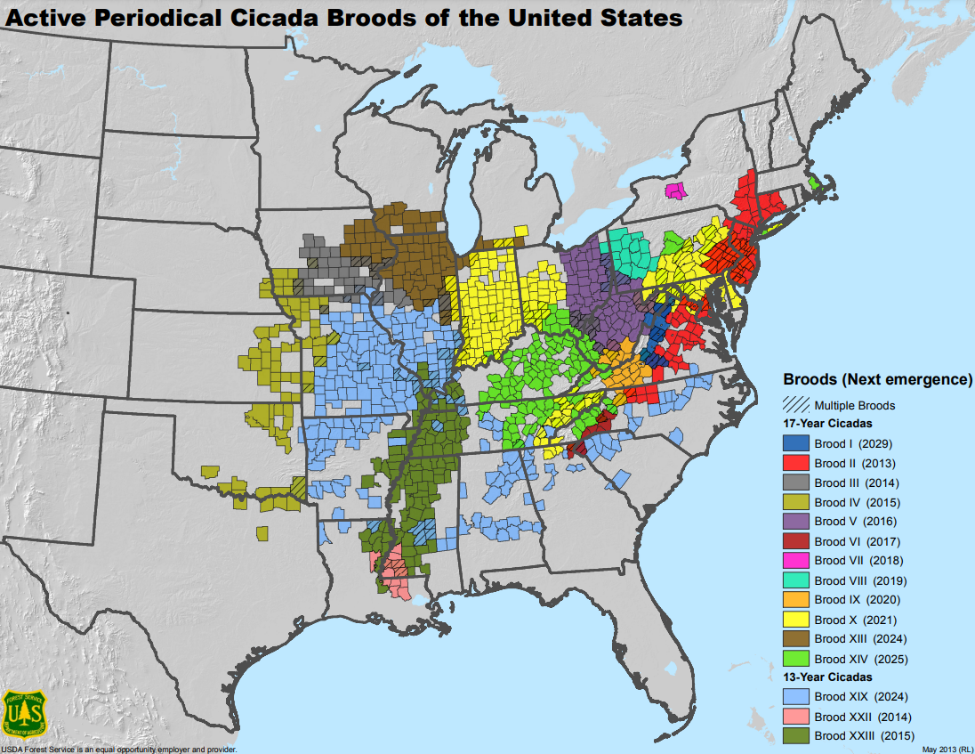 Map showing the active periodical cicada broods of the united states.