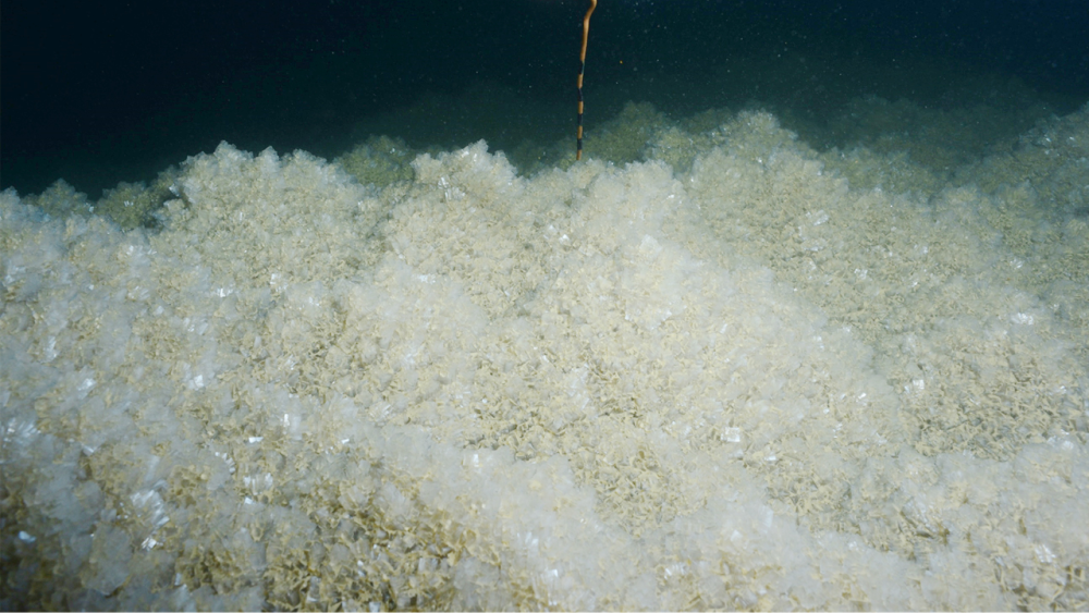 salt precipitation on the dead sea lake bed