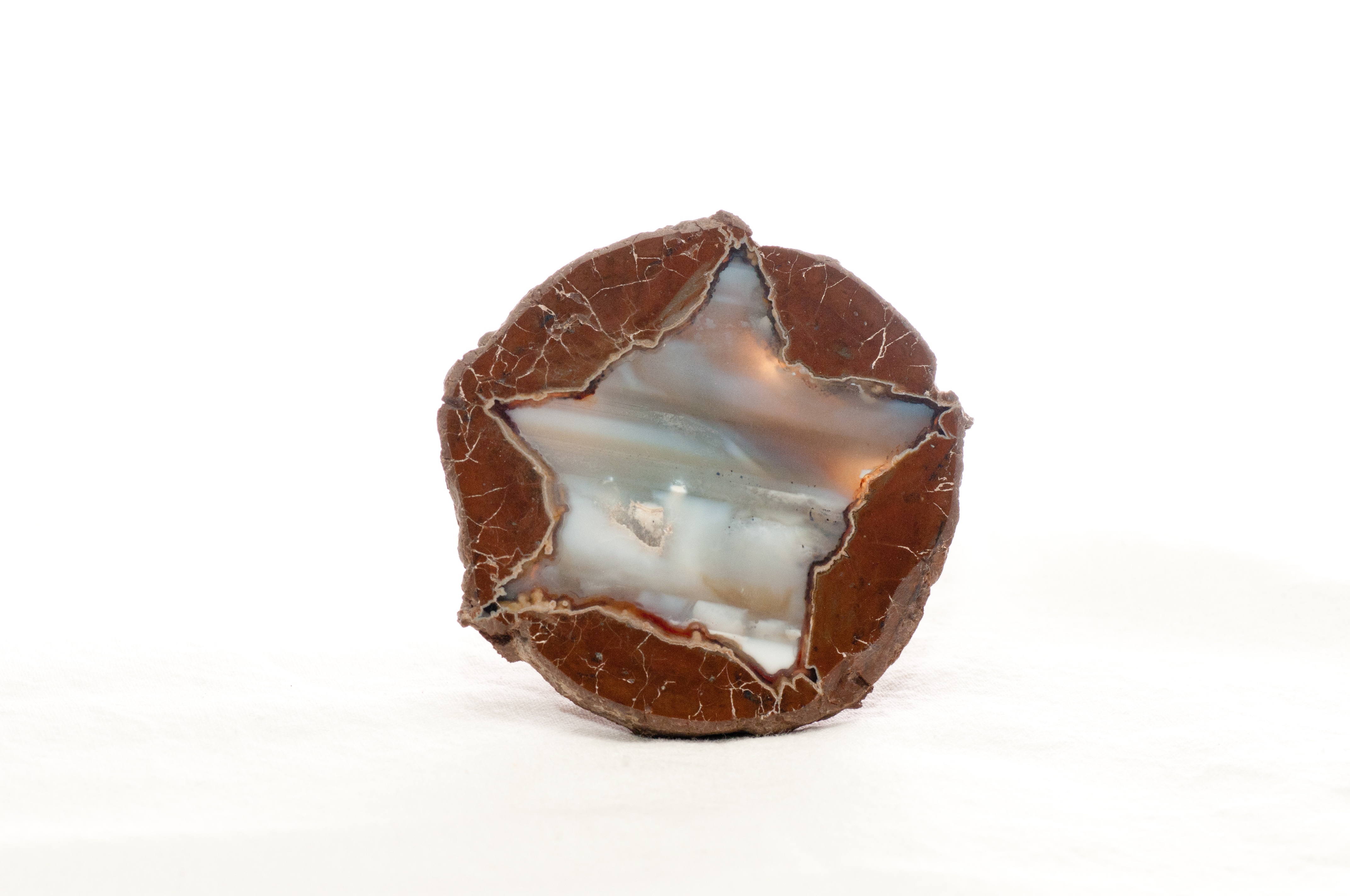 Reddish brown circle rock with a star shaped white fill on the inside. Polished and quite shiny.