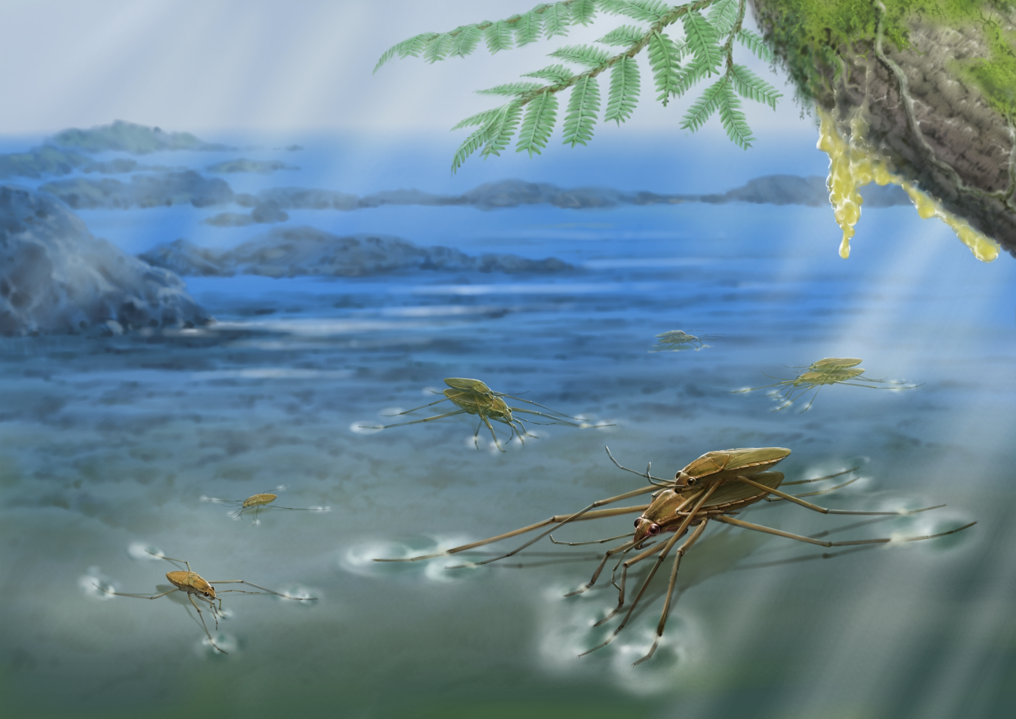 Ecological reconstruction of Cretaceous water strider copulation