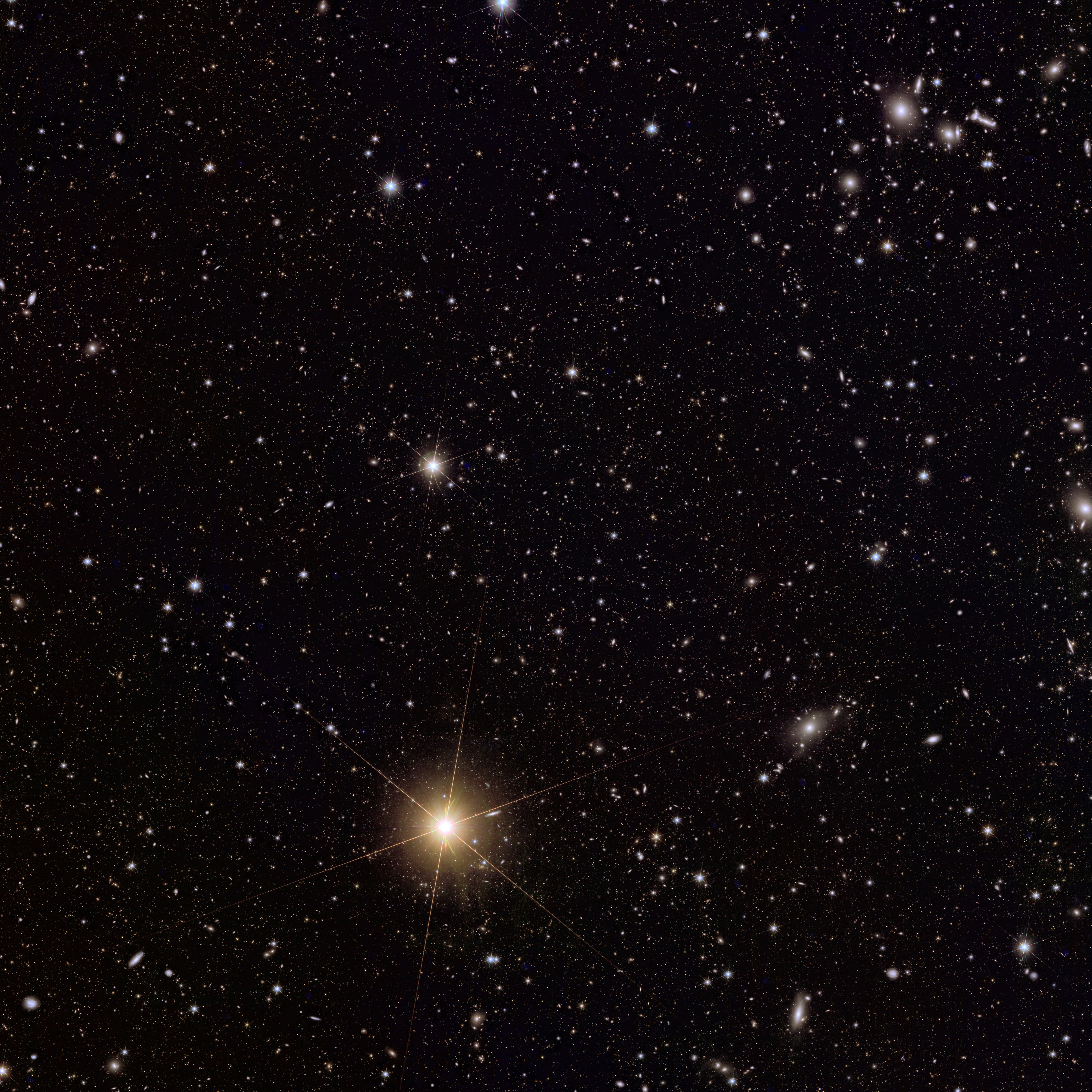 The whole image is galaxies over a black background. Most of them are tiny dots but there is a big star and the concentration of galaxies in one corner, where the cluster is