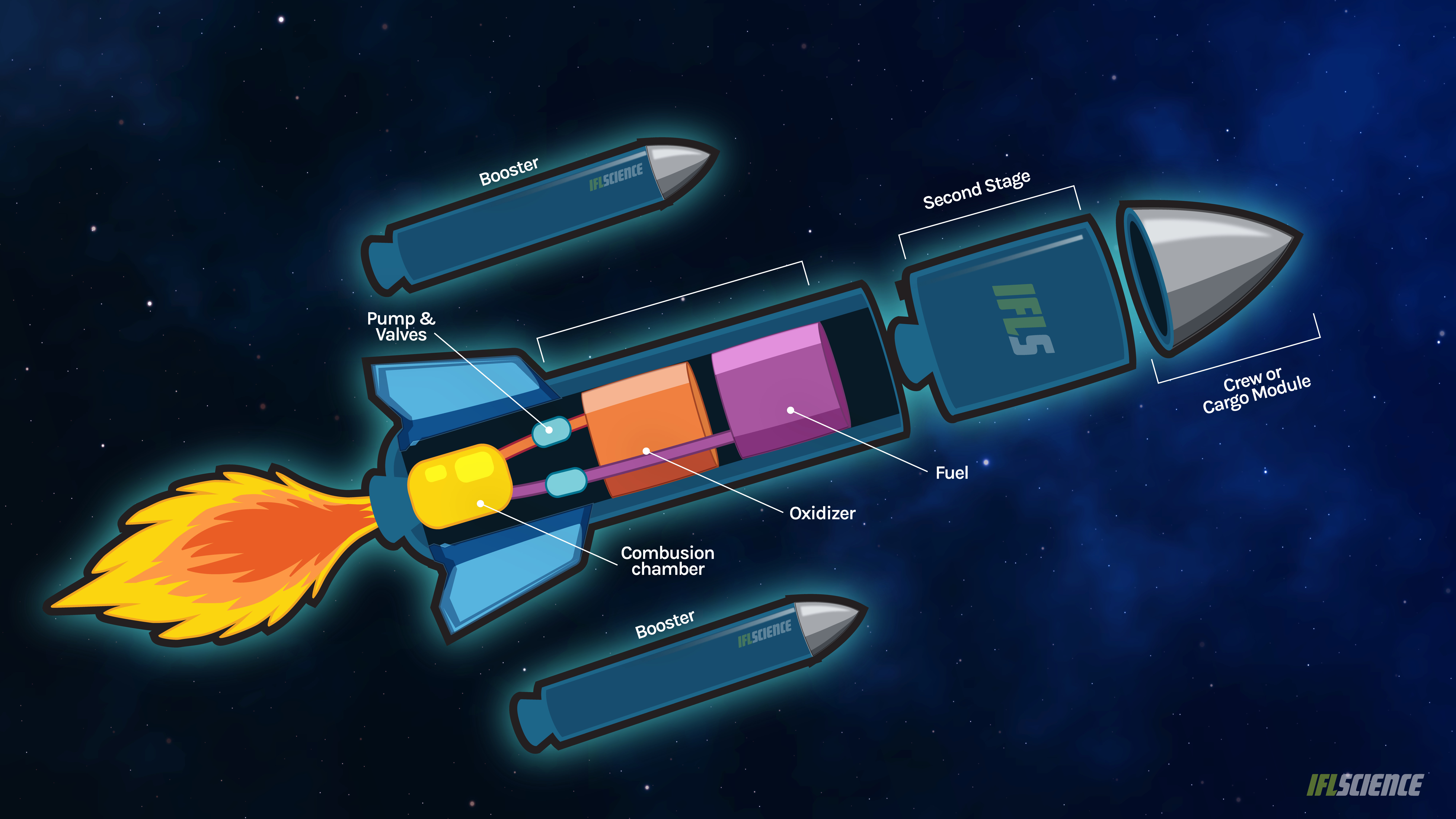 The cartoon shows the cargo capsule, the seconf stage, the main stage, and the boosters of a rocket. The main stage is cut open to show the chambers contianing the oxidizers and fuel and now they are linked through pump and valces to a combustion chamber where thye are mixed and ignited.