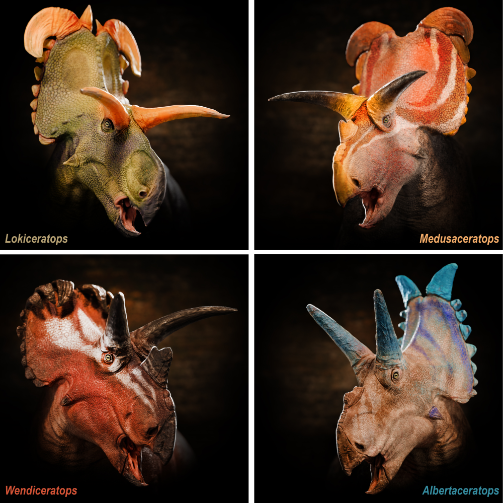 Portrait reconstructions of all four centrosaurine dinosaurs that lived together in the Kennedy Coulee Assemblage of northern Montana and southern Alberta.