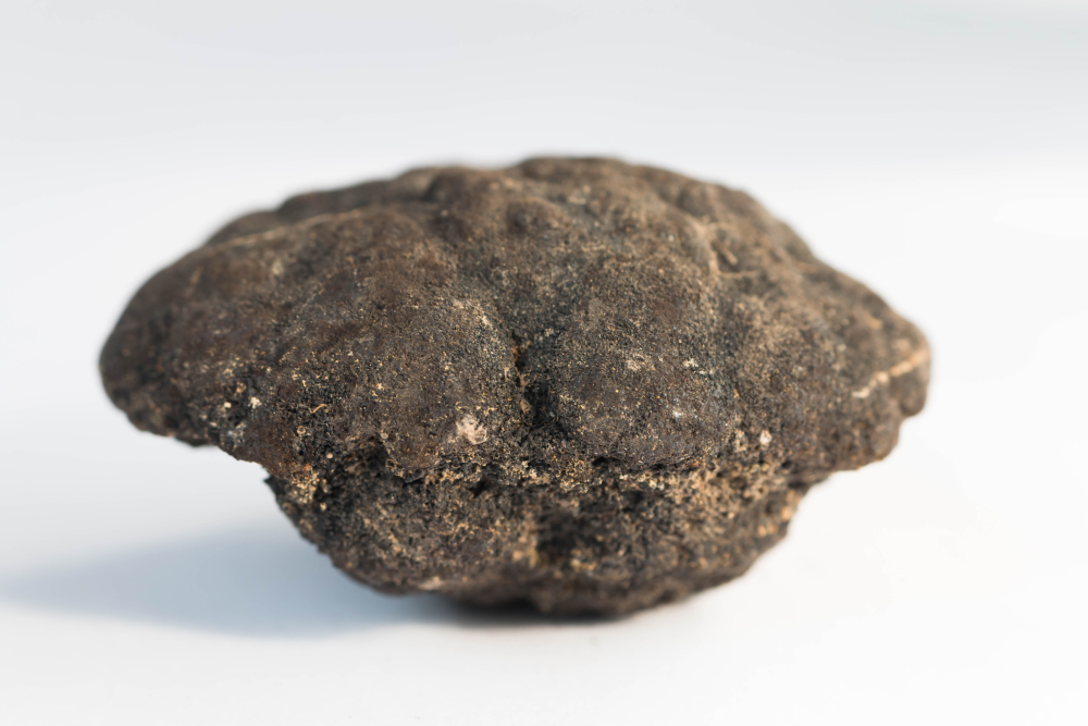 a deep sea manganese nodule