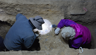 Digging at Baishya Karst Cave is a slow process, made no easier by the lack of oxygen for those without the Denisovan high altitude genes.