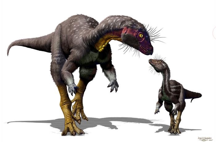 Fona herzogae dinosaurs