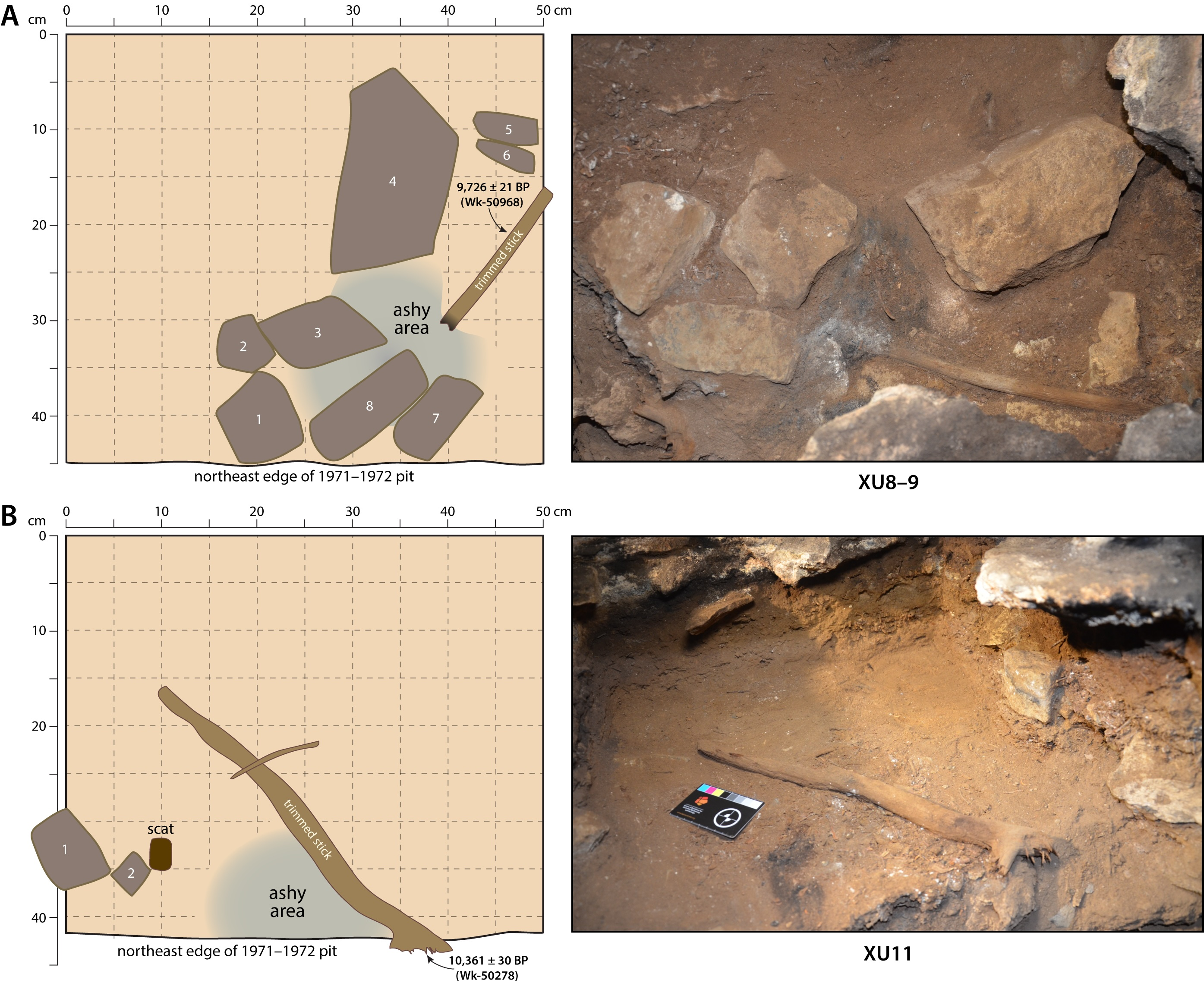 The locations in which the two sticks were found, drawn as cartoons (left) relatives to rocks and a wombat dropping and photographed.