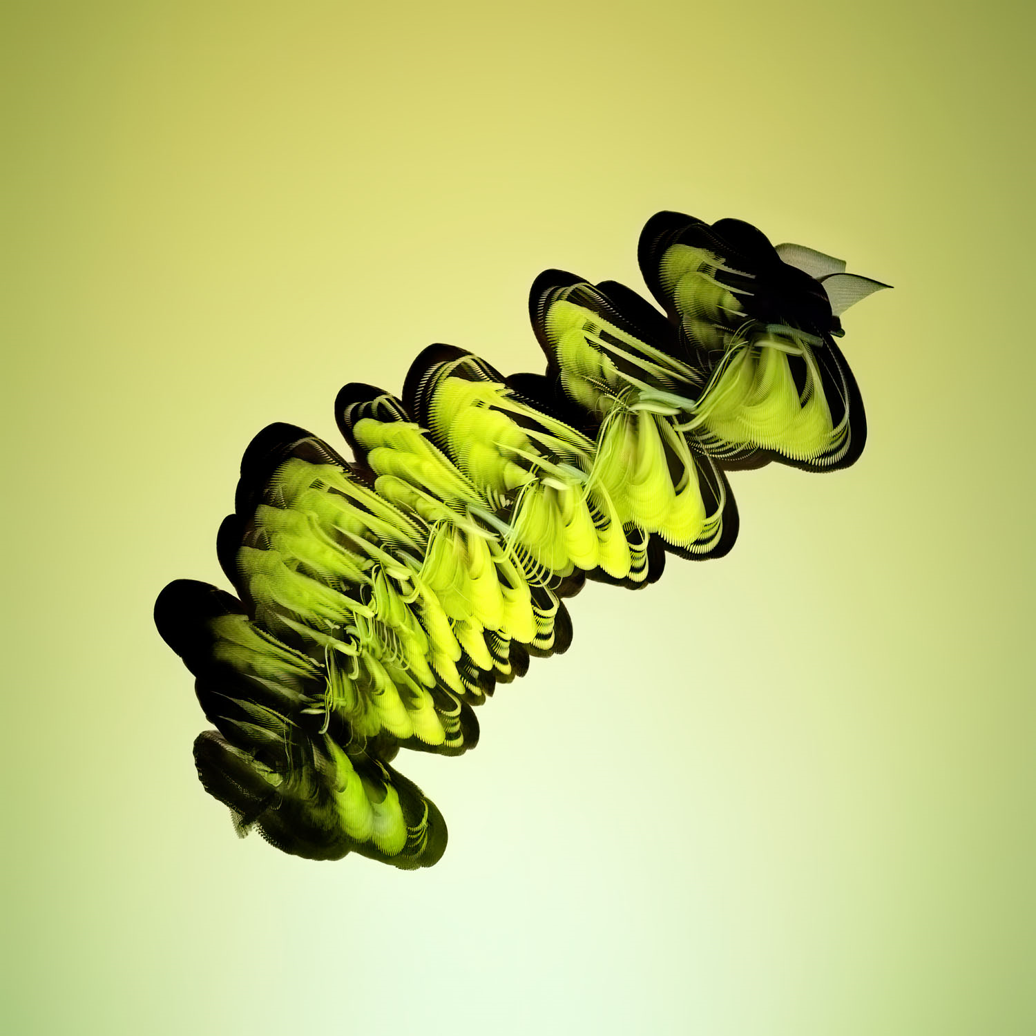 pale green background with darker lime green image surrounded by black, the image appears like a helix of swirling lines and represents the wingbeats of a zebra longwing filmed at 1,500 frames per second