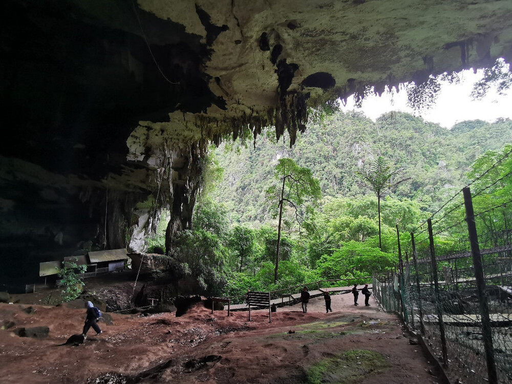 West Mouth of Niah Great Cave