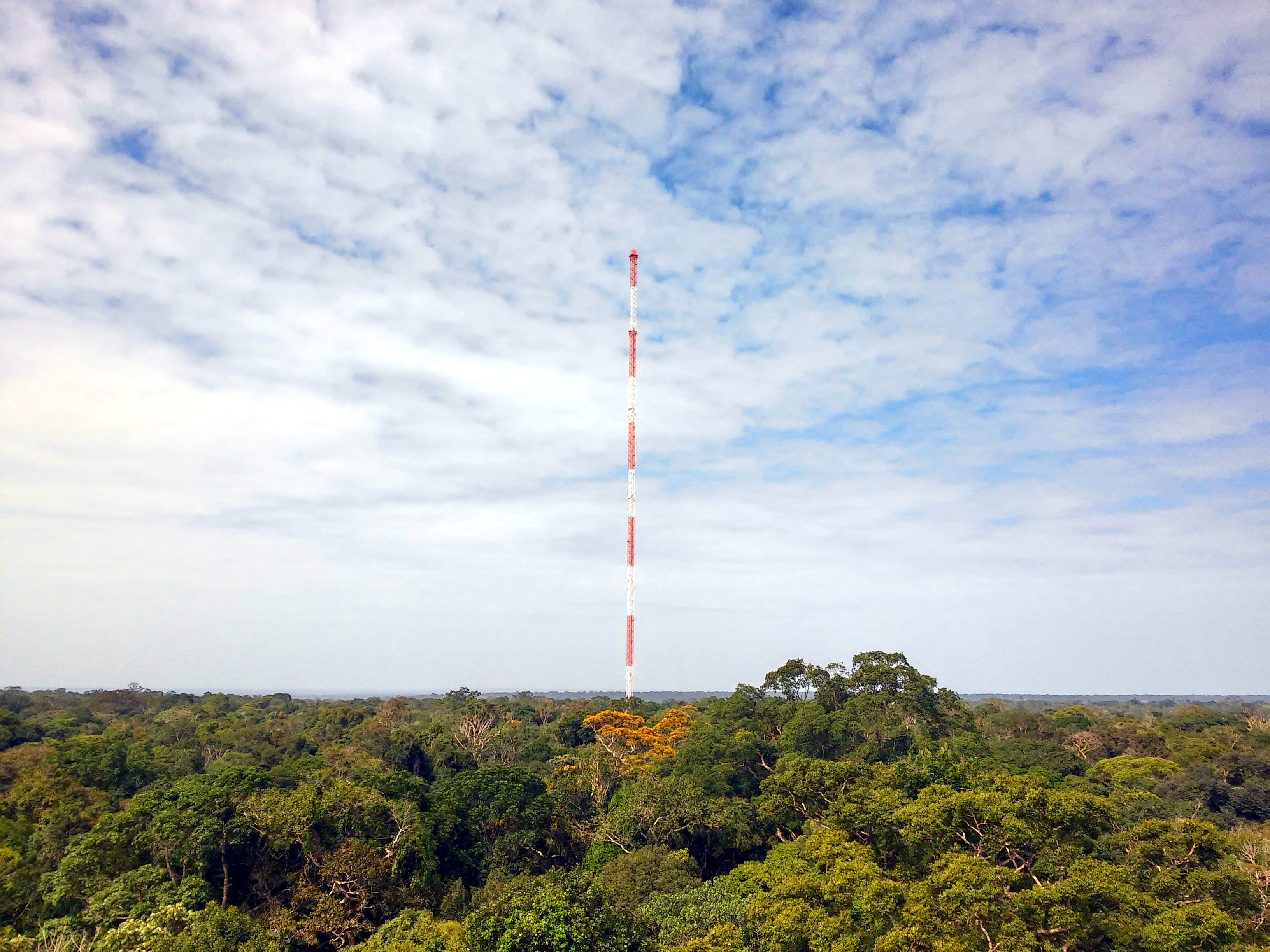 A view of the Amazon Tall Tower Observatory used to collect the air samples.