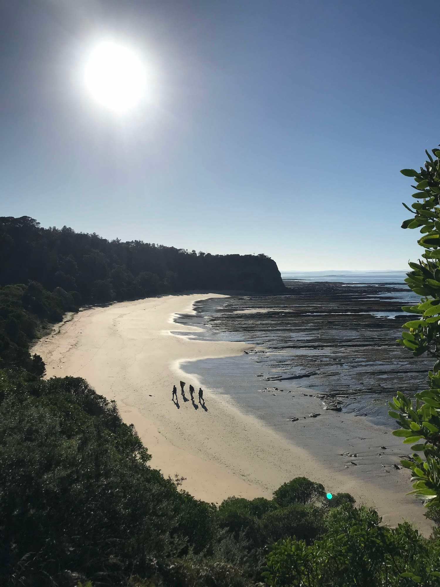 There are worse places to do fieldwork than Victoria's dinosaur coast, but those tides do make things difficult