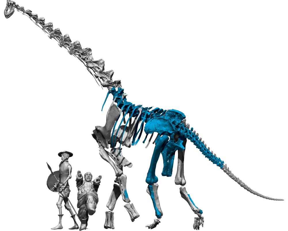 Size comparison for Qunkasaura pintiquiniestra with some colorful characters.