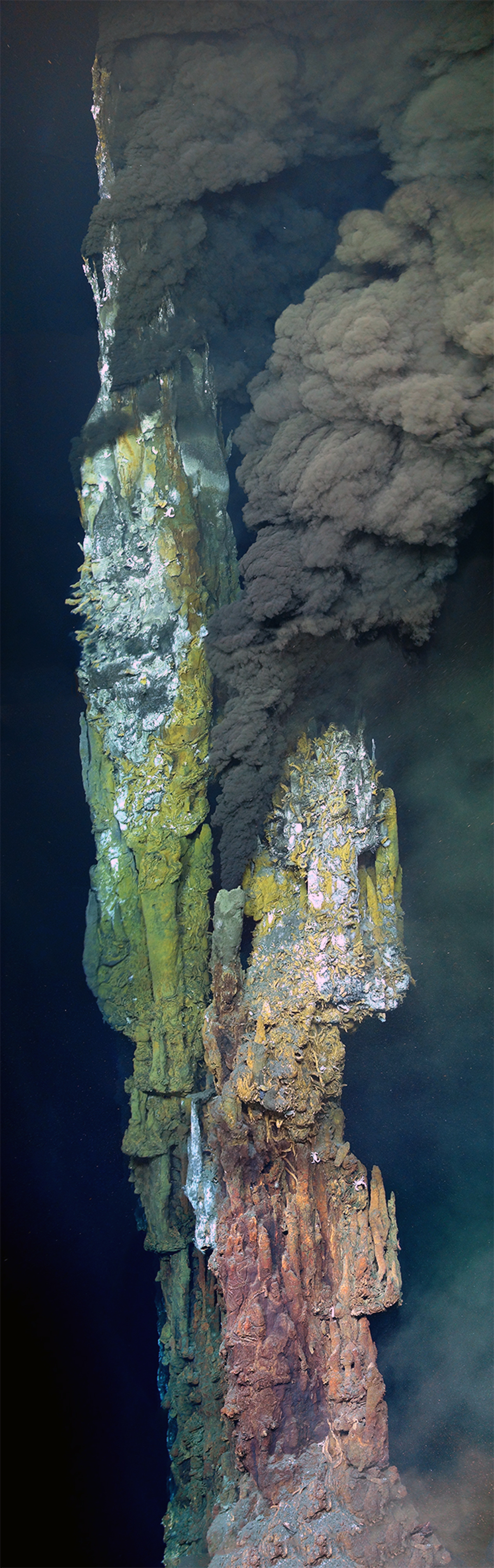 This 12-meter-tall hydrothermal vent, named 'Medea', 