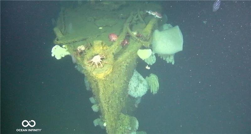 The photo shows a high resolution image of the ship's bow covered in ocean life. It's surface is green with growth and there are large blobs of coral and other life sticking out of its sides. At the front of the bow, two crabs are seen crawling into view. 