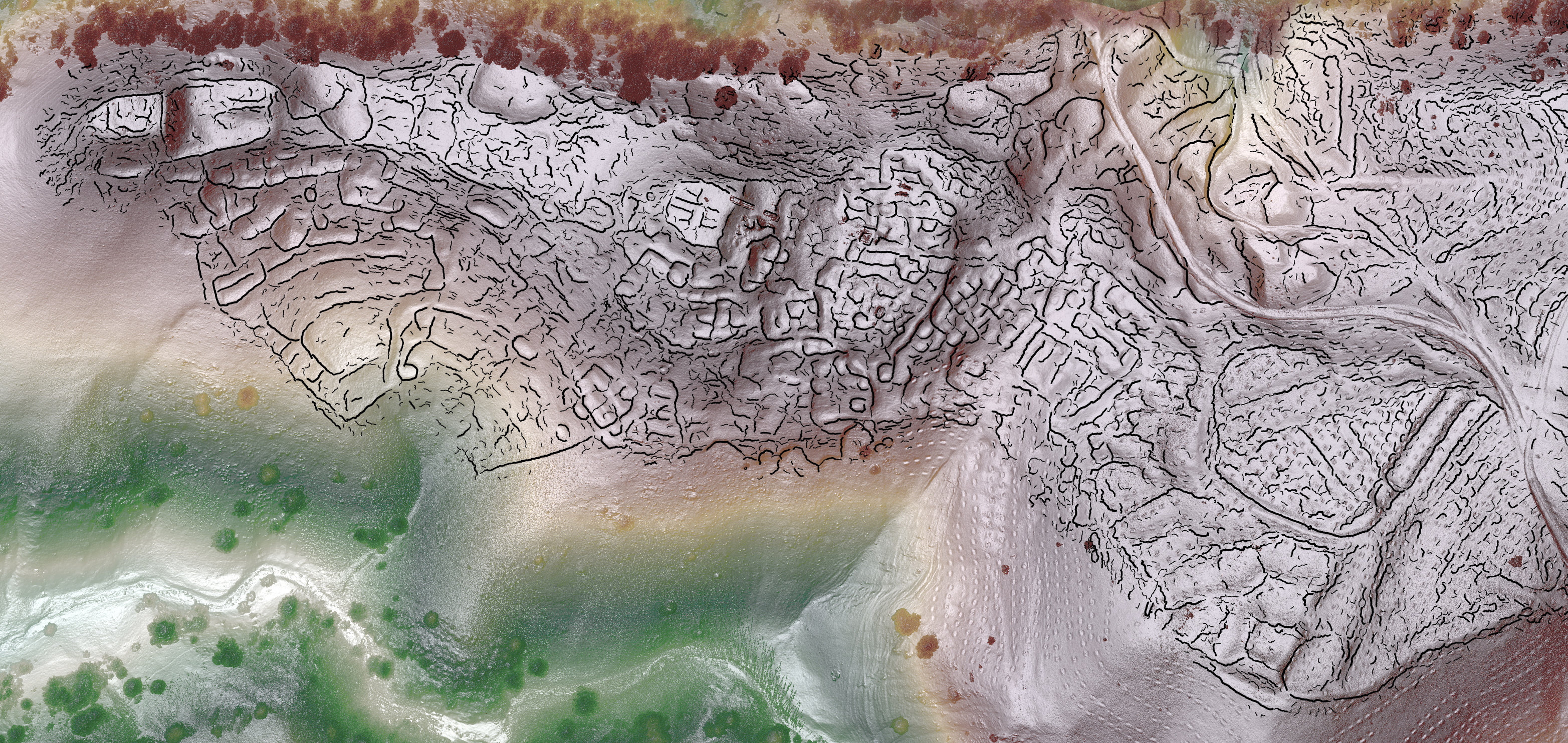 The outline of Tugunbulak's streets, plazas and defences can be seen in this reconstruction from lidar