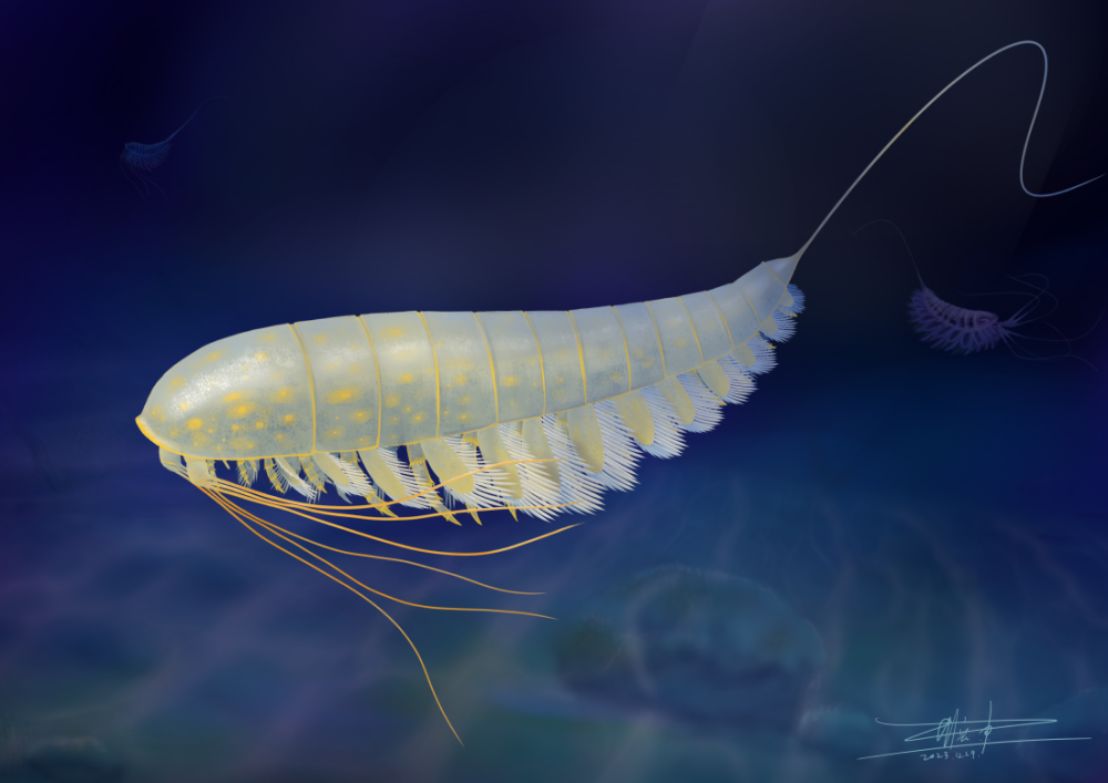 Life reconstruction of Lomankus edgecombei. 