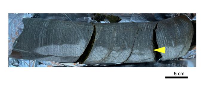 2-billion-year-old rock core sample containing ancient microbes