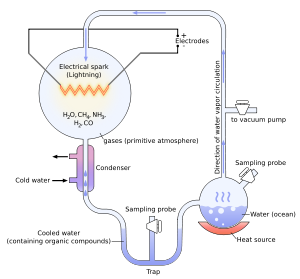 Miller-Urey experiment layout