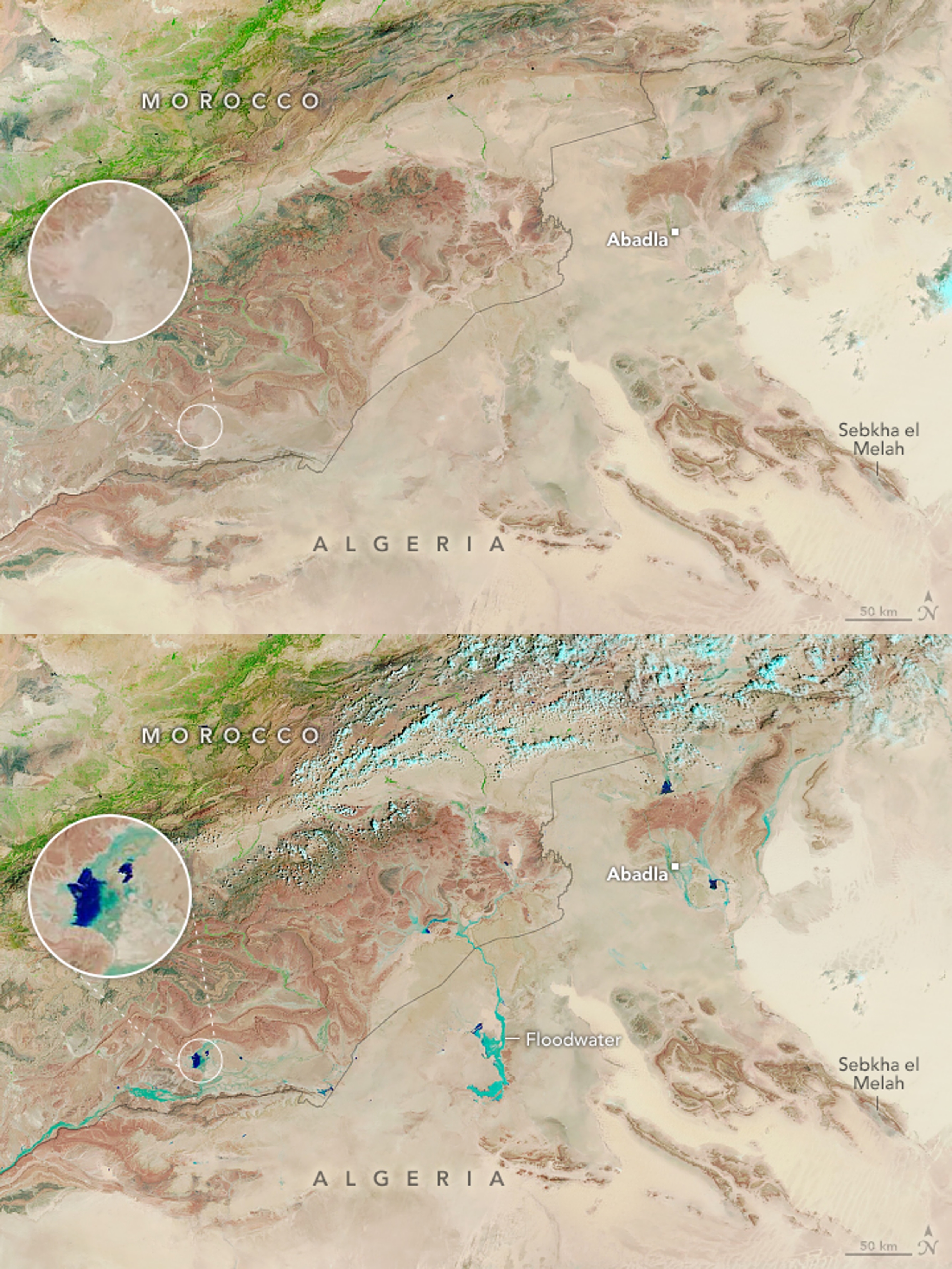 Satellite images of the Sahara on August 14, before the rain (top) and on September 10, following the rain (bottom).