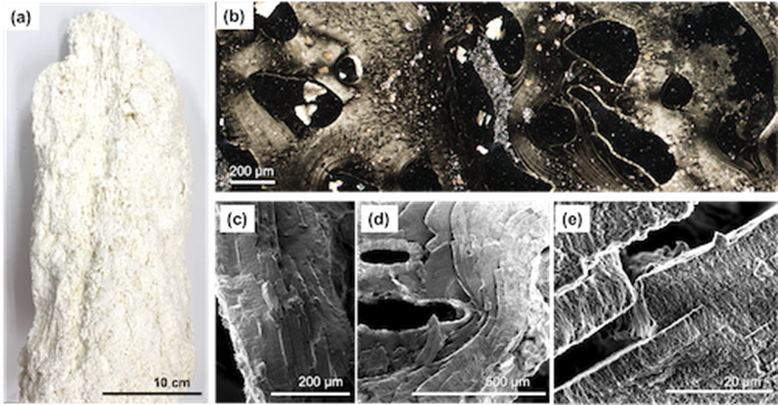 Precipitates on a hydrothermal vent sample.