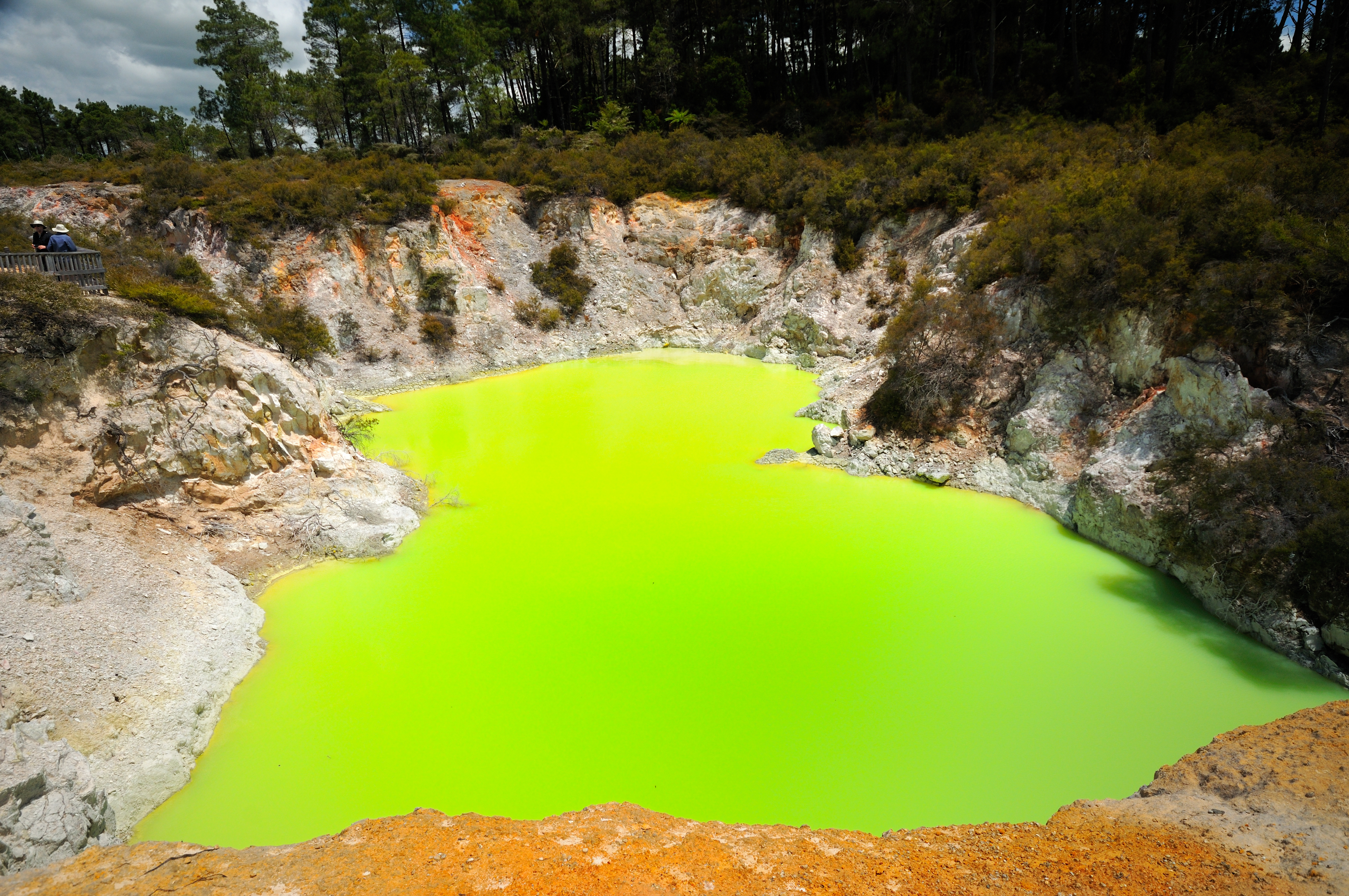 acid-green lake surrounded by rocks and scrubby trees, with a forest in the background