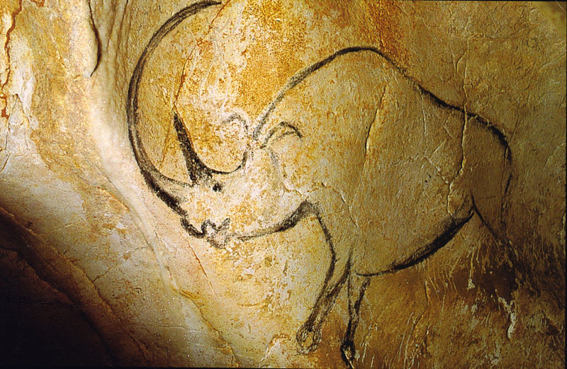 Woolly rhino cave art from Chauvet Cave