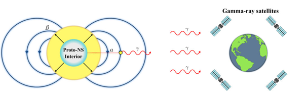 Schmatic showing an axion produced in a supernova core collapse being converted to a gamma ray by the strong magnetic field, and reaching an Earth better suppoed for gamma-ray satellites