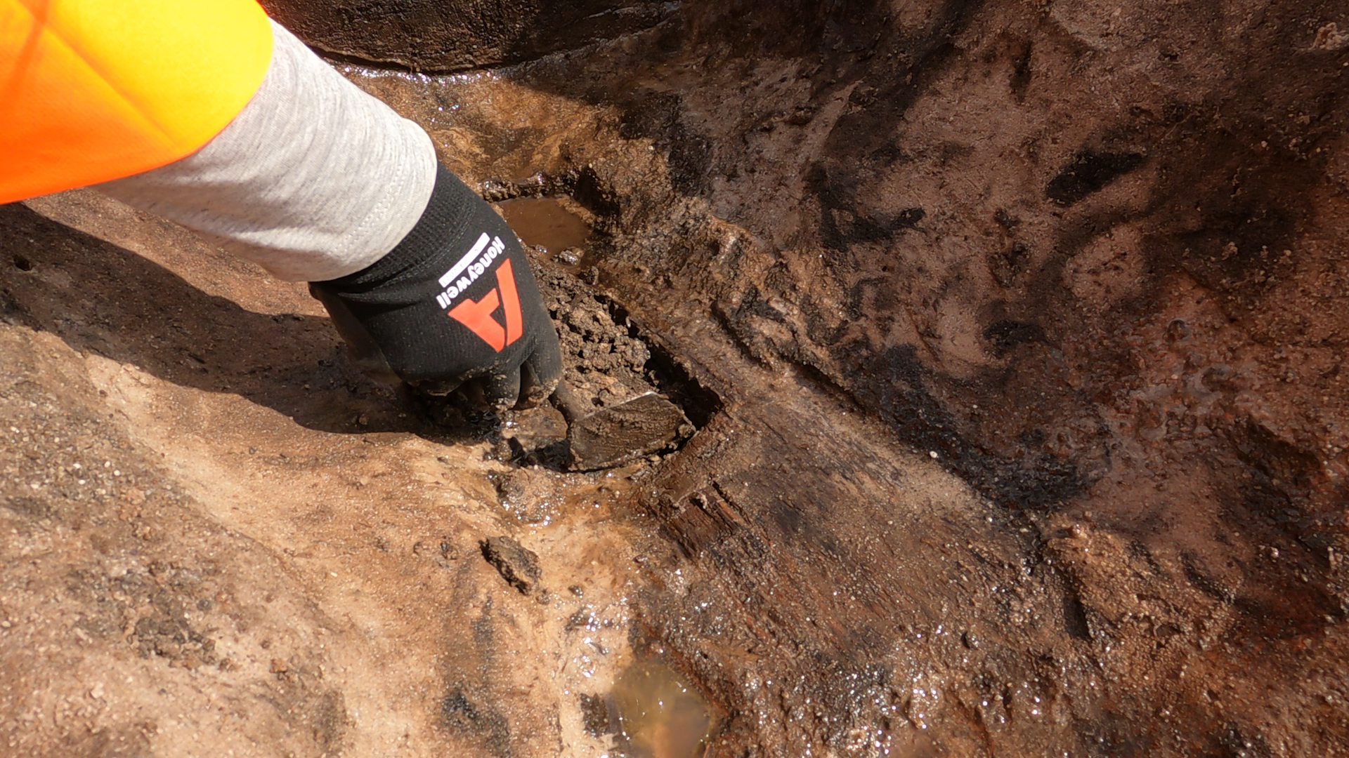 The photo shows an archaeologist's gloved hand gently removing soil from the spade is a lays in the earth. The spade's outline is just visible withing the surrounding mud but you can make out the shape of its head. 