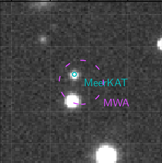 MeerKAT, like MWA is a precursor of the Square Kilometer Array, but can location sources more precisely, perctly nailing a red dwarf.