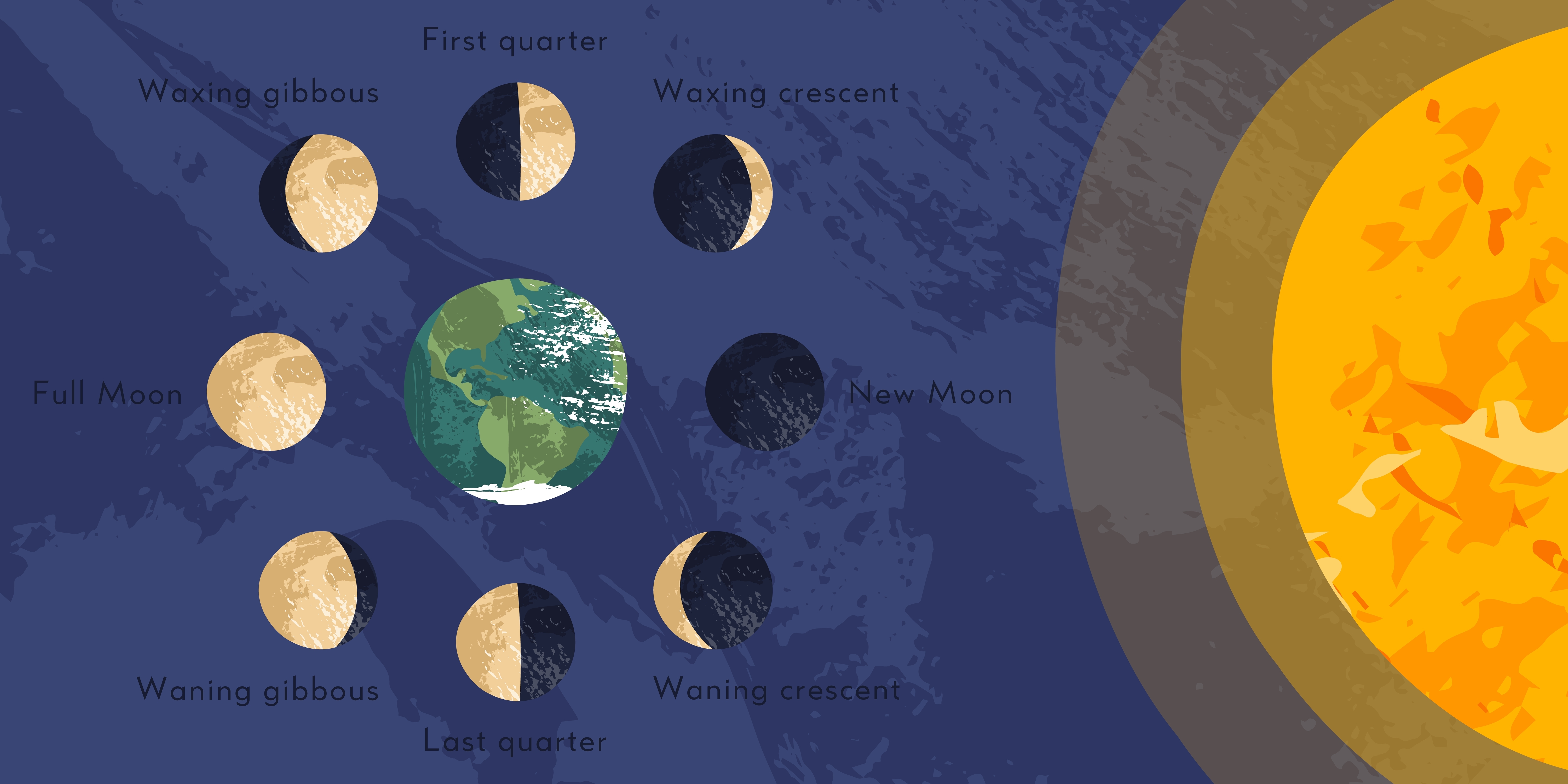 Non-to scale the 8 phases of the moon are represented in this infographic showing the position of the moon with respect to the earth and the Sun