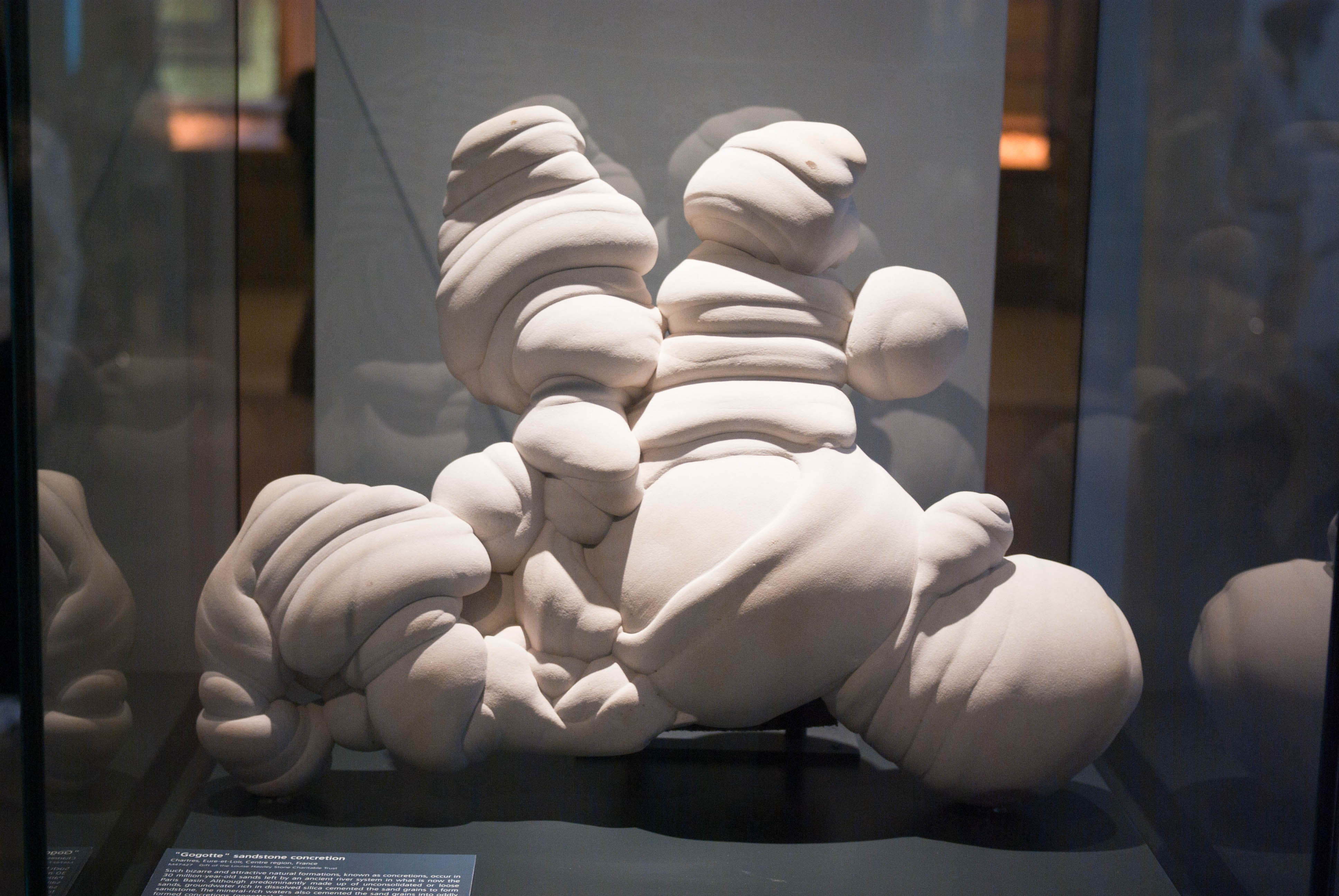 A gogotte on display at the Royal Ontario Museum, Canada.