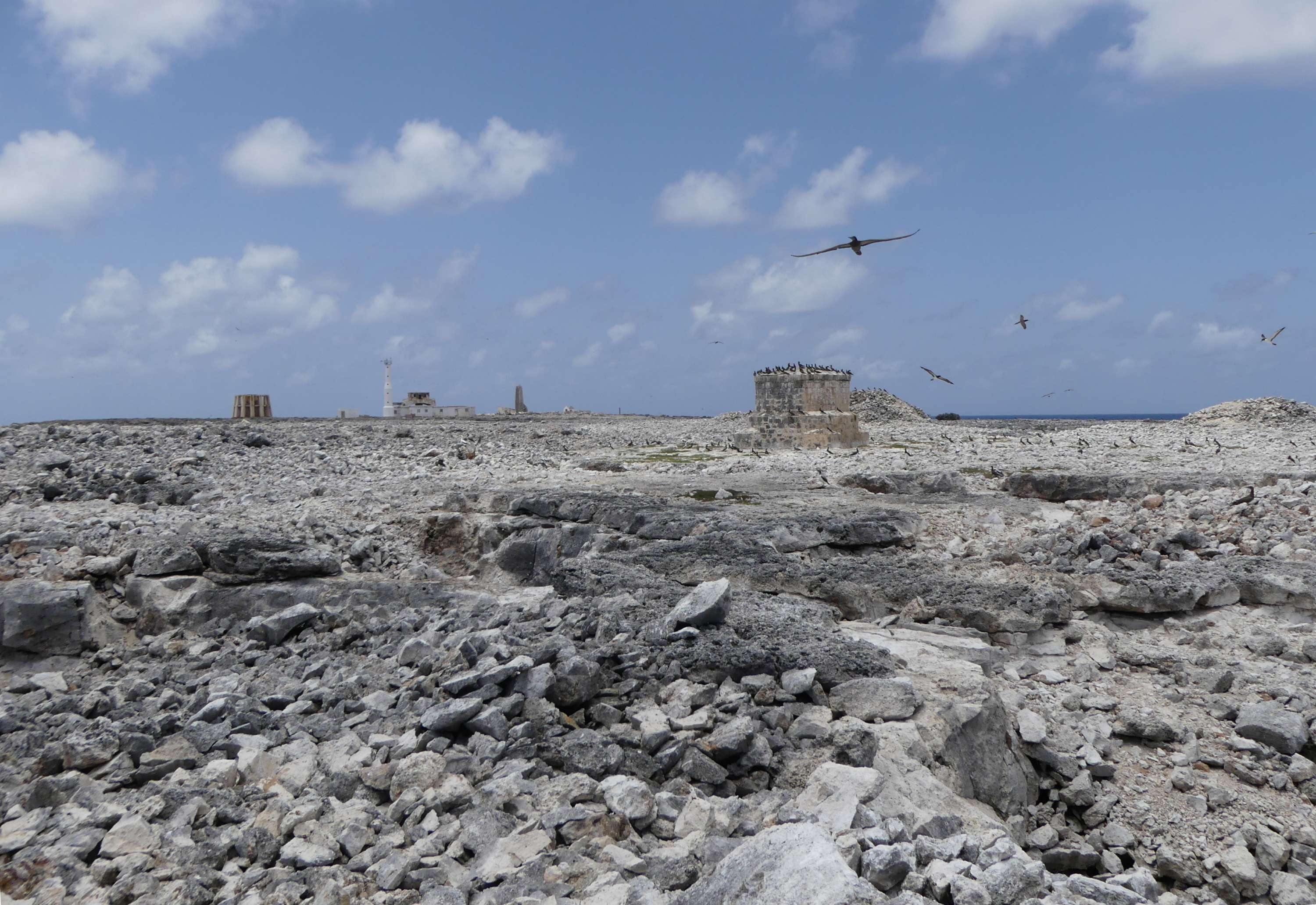 Photograph of the island of sombrero before greenery restoration.