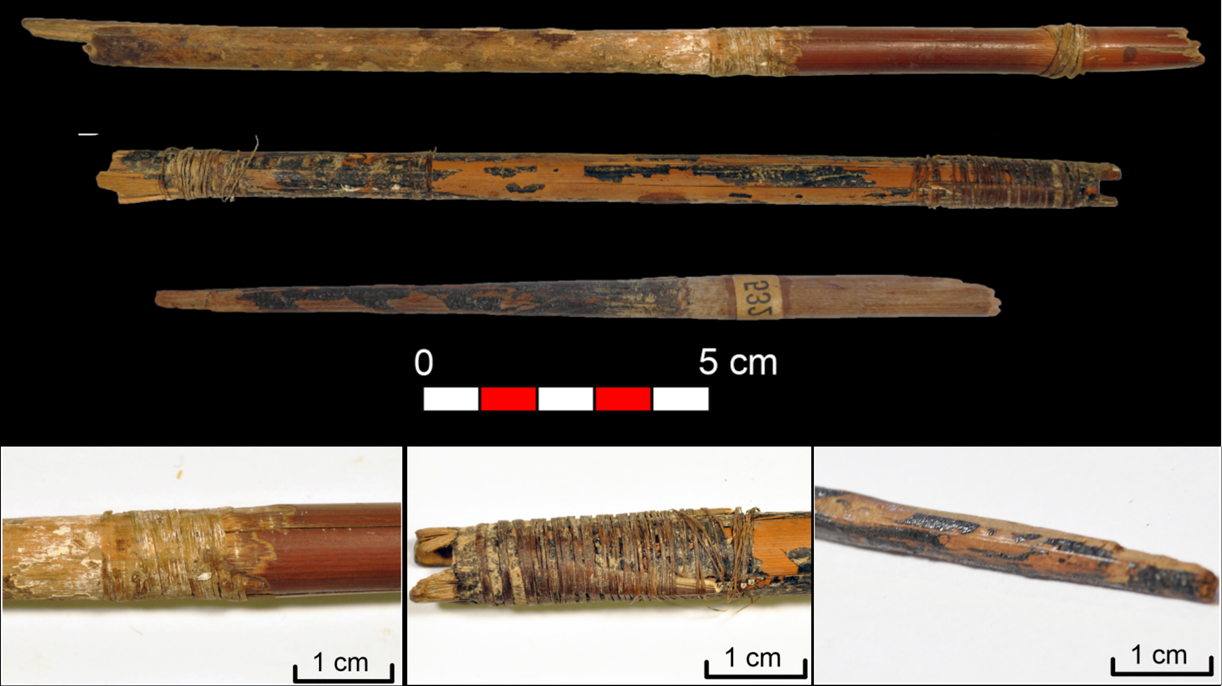 Examples of arrows made of olive, willow and reed, complete with animal sinew fibers. 