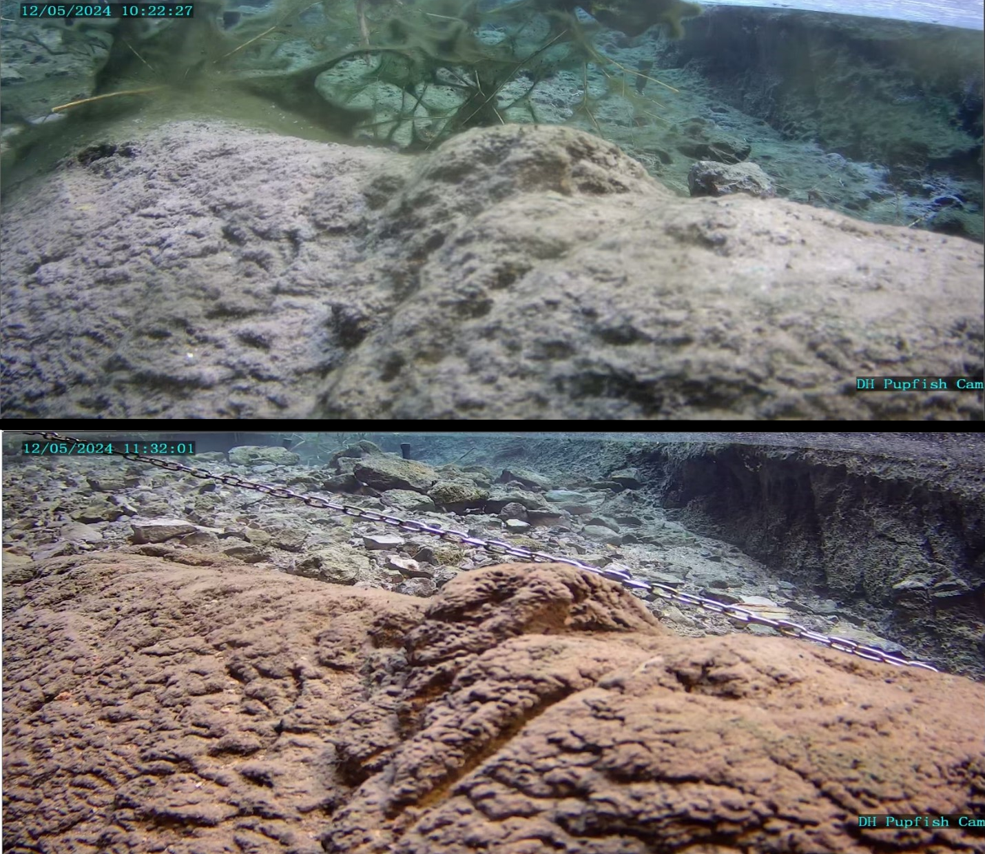 Underwater photos of Devils Hole before and after the seiche on December 5.