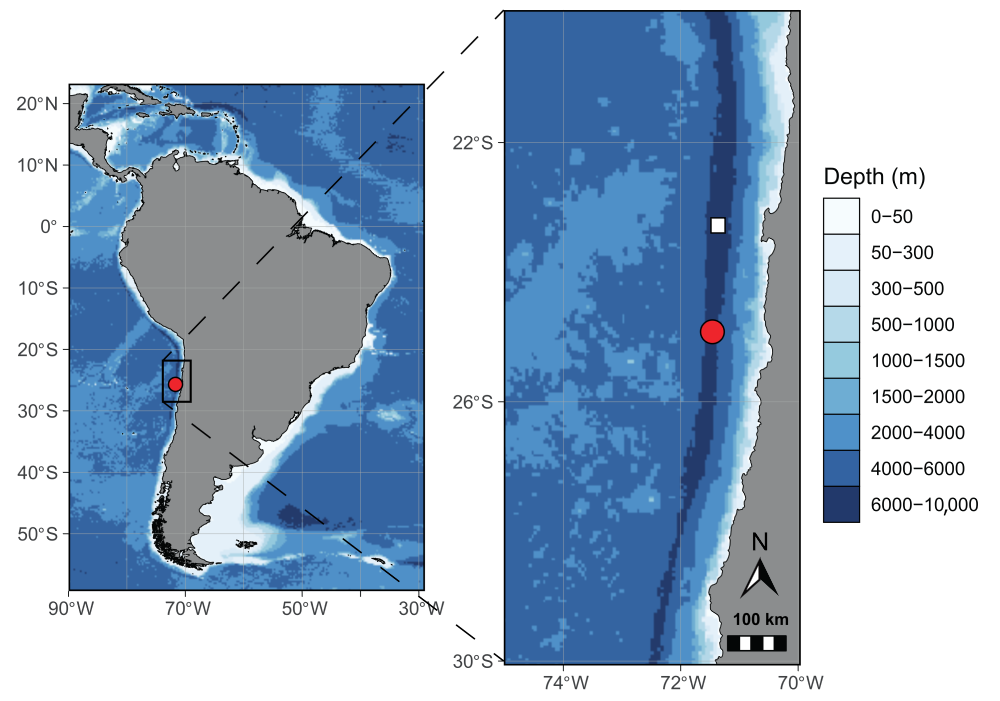 Ducibella camanchaca map of where it was found at depths exceeding 8,000 meters