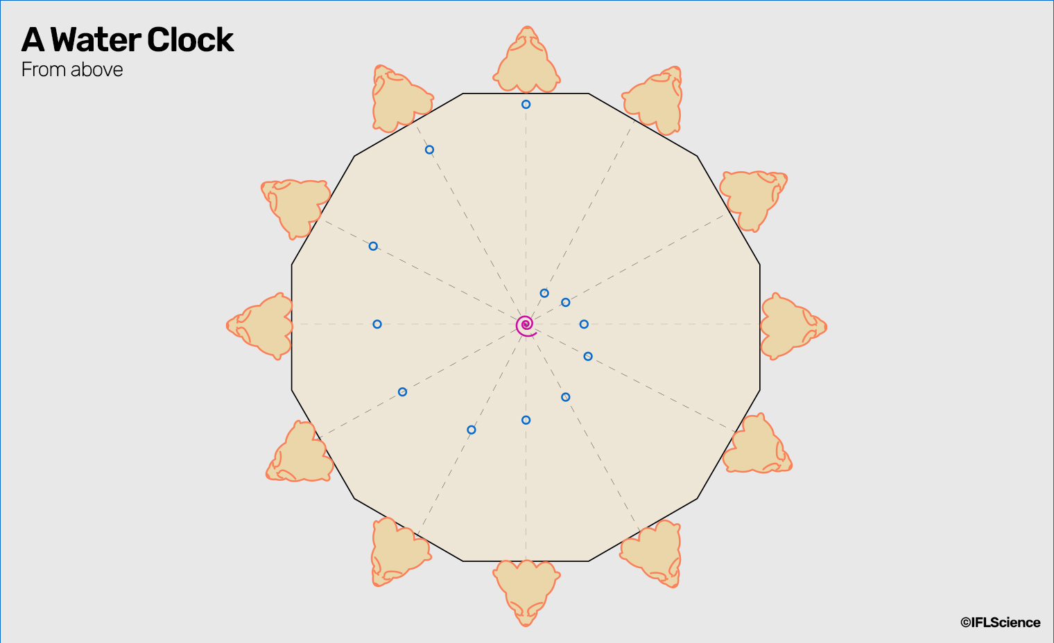 A dodecango is seen with a spiral pattern of holes across is hear correspontin to different pipes opening that links to the lions.