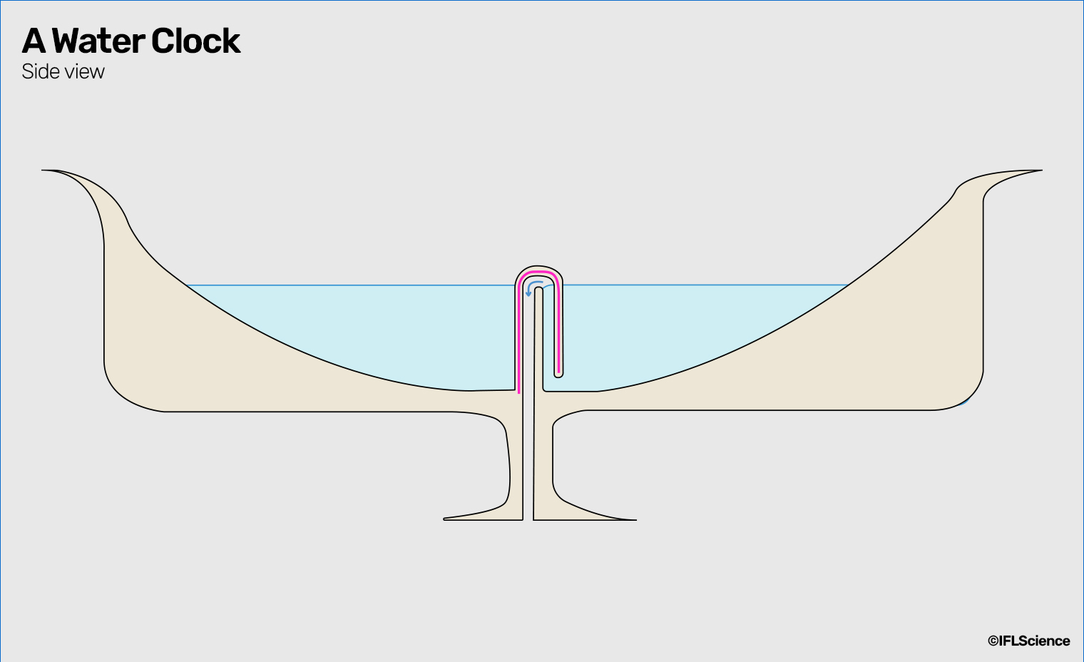 Cross-section view of a siphon cup, showing the water level as it is about to pass the point of no return