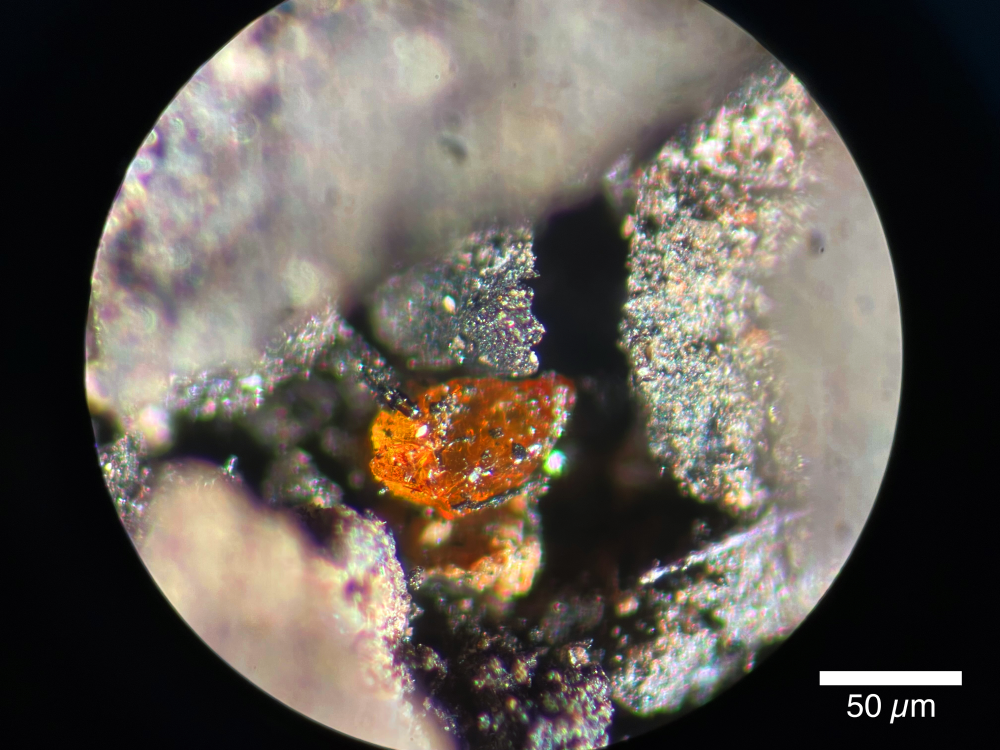 the first piece of fossil tree resin known as amber found in antarctica, looks like a tiny grain of jelly-like stone, very orange