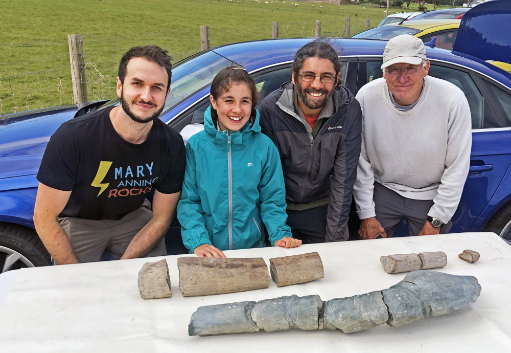 the jaw bone fragments of possibly the largest marine reptile ever to live on earth next to some humans