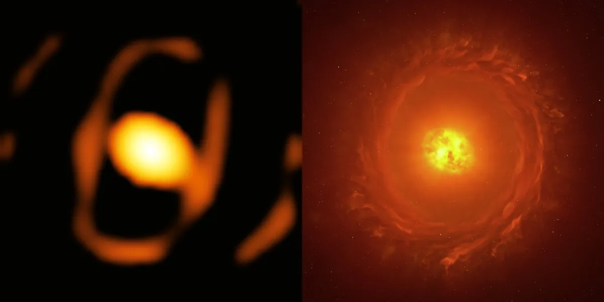 The real image shows a thin oval shape and at the center an egg like orange, ther star. The artist impression on the side show the same but provide tghe whispiness of the outer disk of gas and the fuzziness of the super red giant.