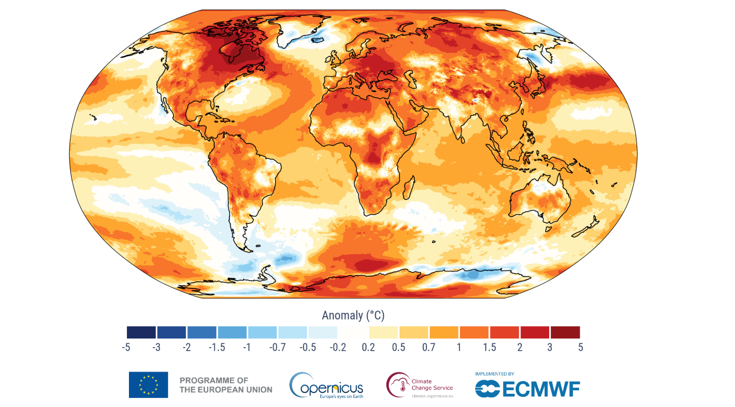 Surface air temperature anomalies for 2024 relative to the average for the 1991–2020 reference period. 