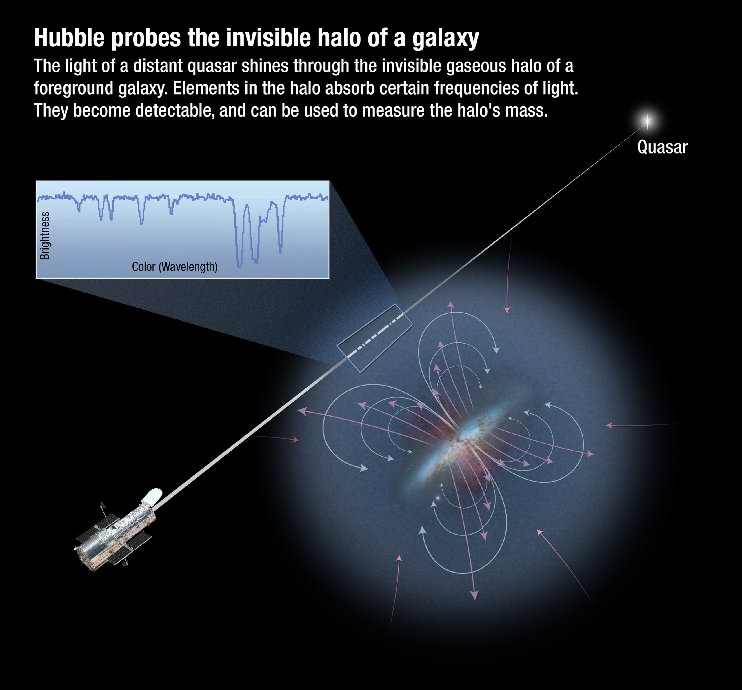 Atoms in the circumgalactic medium absorb light from distant quasars, with distinctive wavelengths associated with each atom.