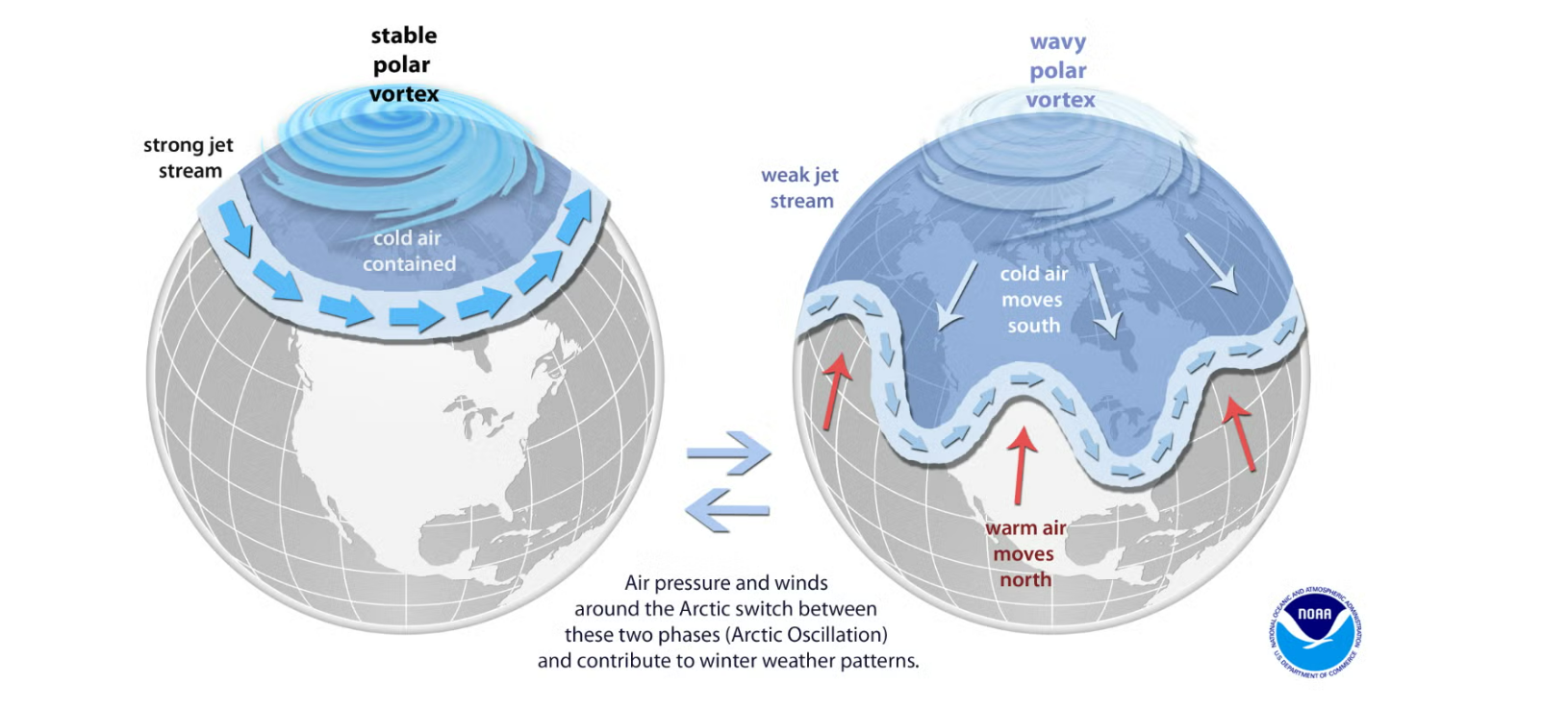 A helpful explainer of how polar vortex can impact weather in the Northern Hemisphere. 