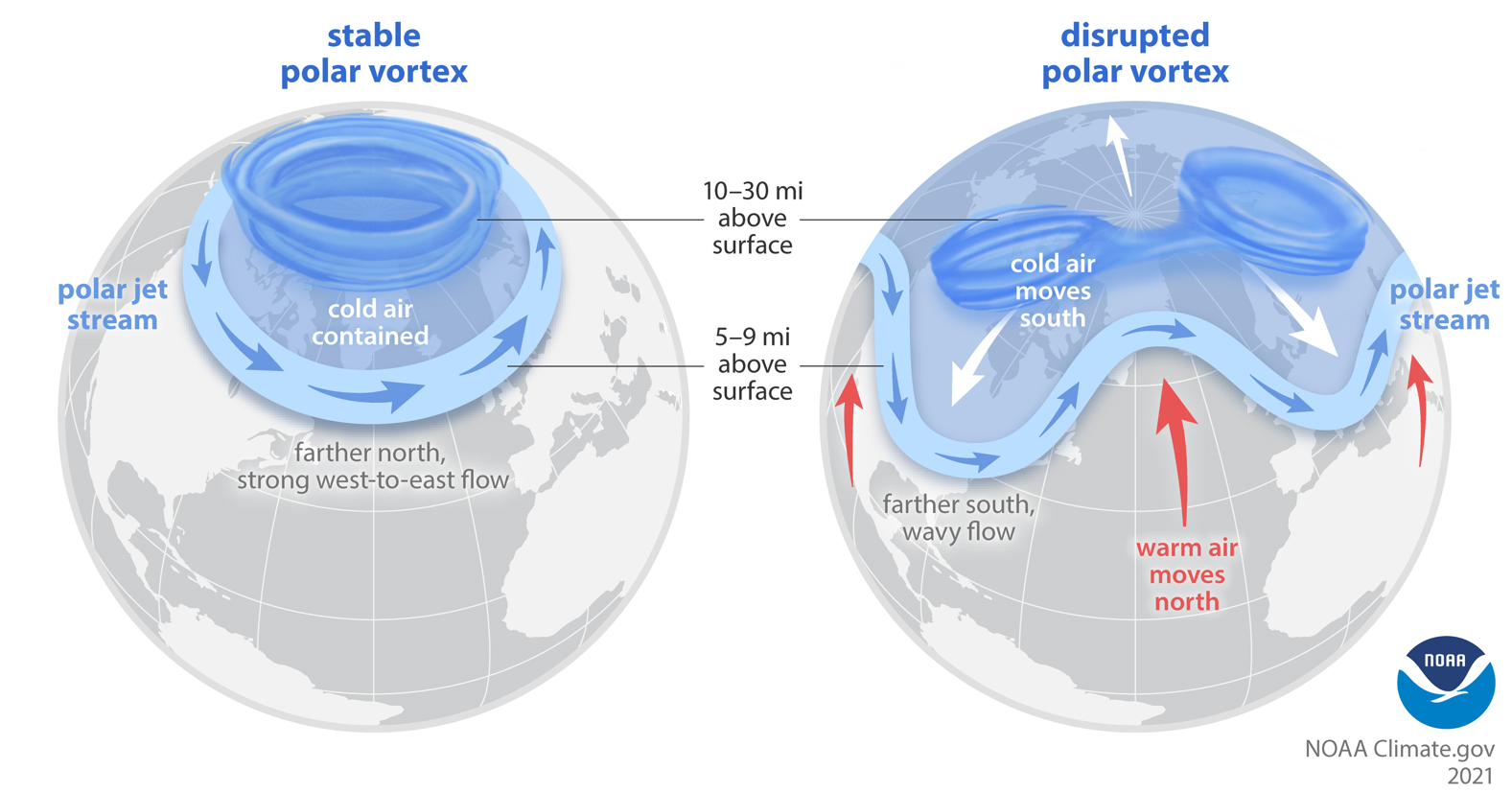 An illustration of how the polar vortex can impact weather in the Northern Hemisphere. 