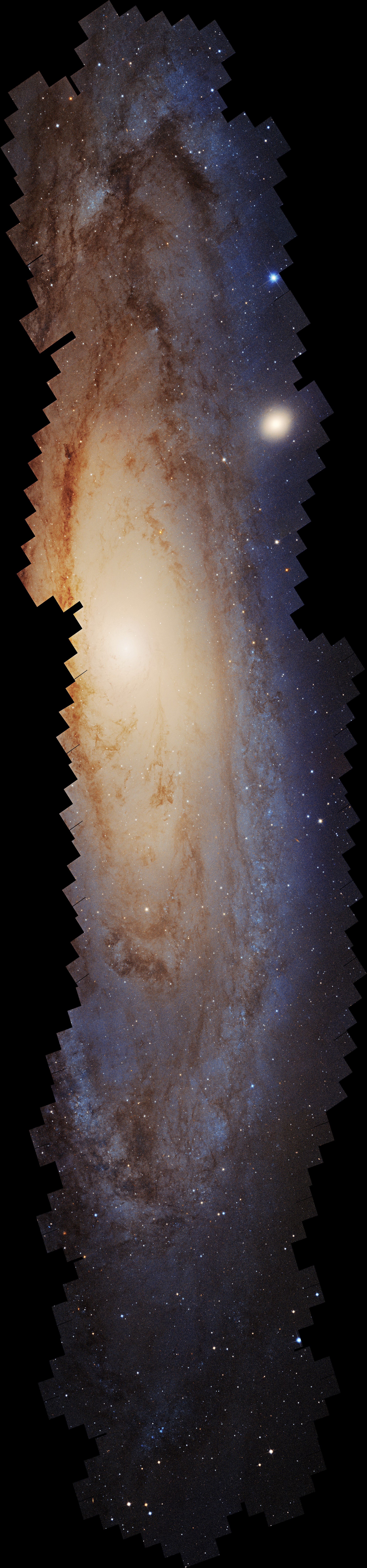 600 observation make up this mosaic. most of the galaxy is visible with a lot of tiny dots of light and several large gas clouds delineating the spiral arms