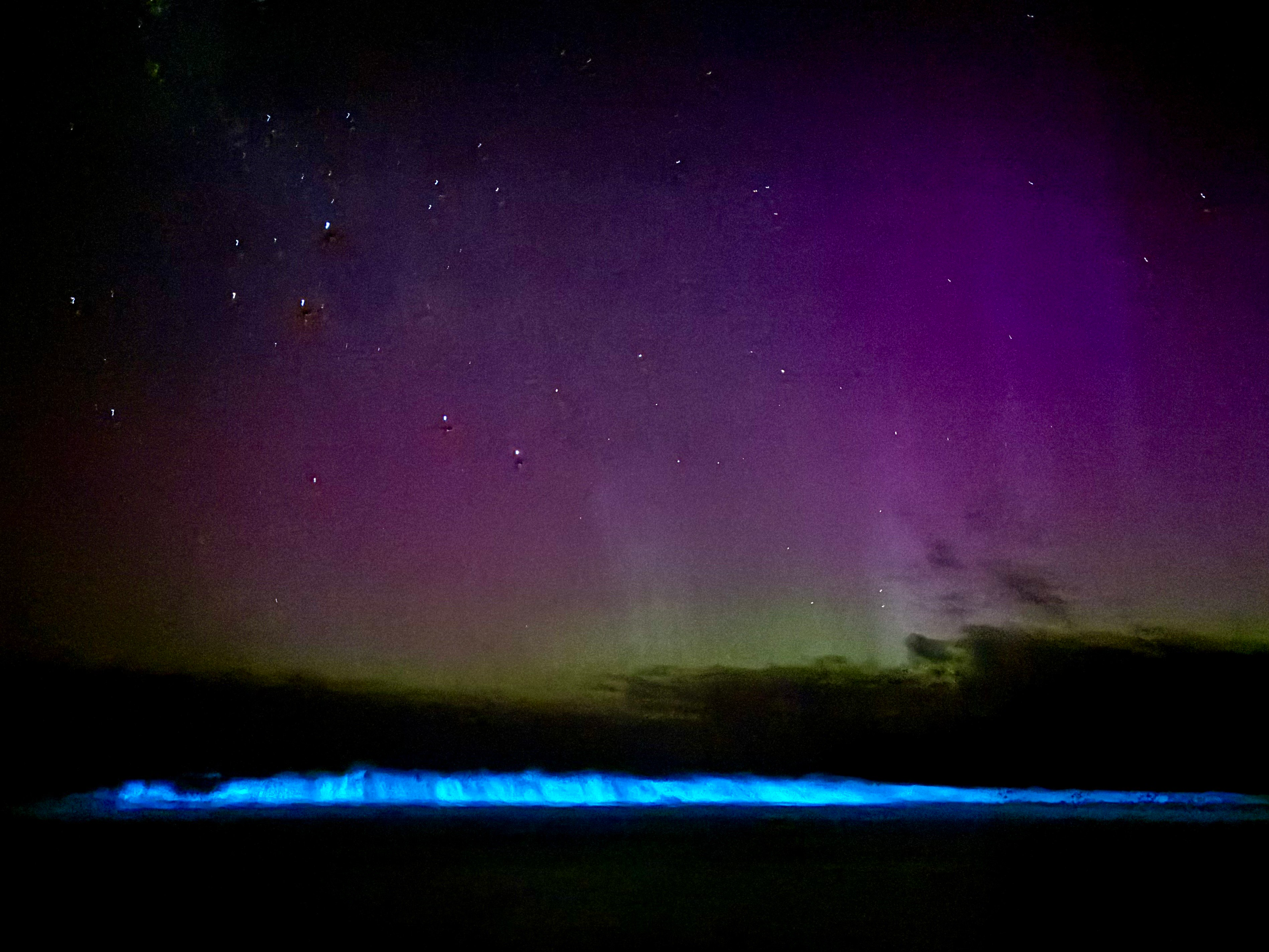 Others may have captured brighter auroras or more extensive sea sparkles, but this is the product of a short beach stroll and a camera phone.