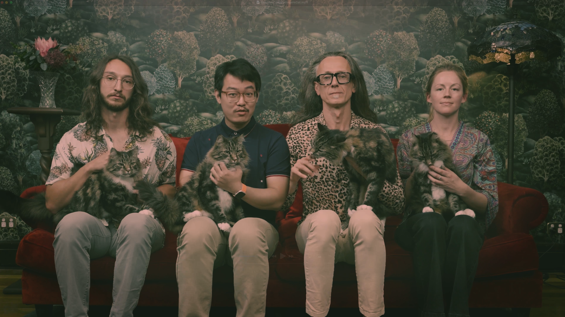 Benjamin Wilhelm, Xi Yu, Andrea Morello and Danielle Holmes with four cats that are definitely alive, and will never be experimented on like that.