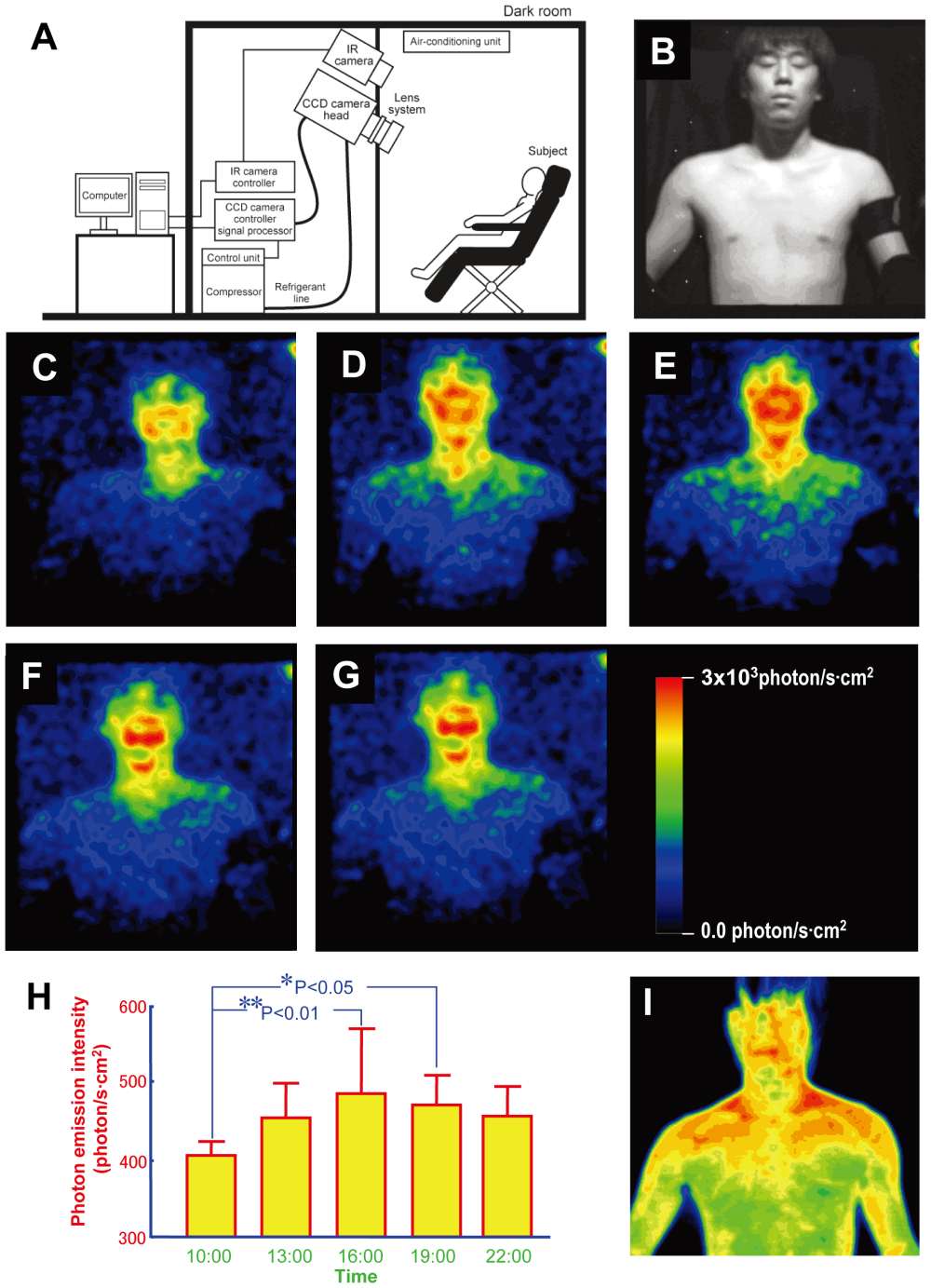 A. The experimental setup. B–F. Images of ultraweak photon emission from human body, including the subject under light illumination. G Calibration bar for estimated radiation intensity on skin’s surface. H. Daily rhythm of photon emission from face and body from 5 volunteers. I. A typical thermographic image of the subject from B-G.