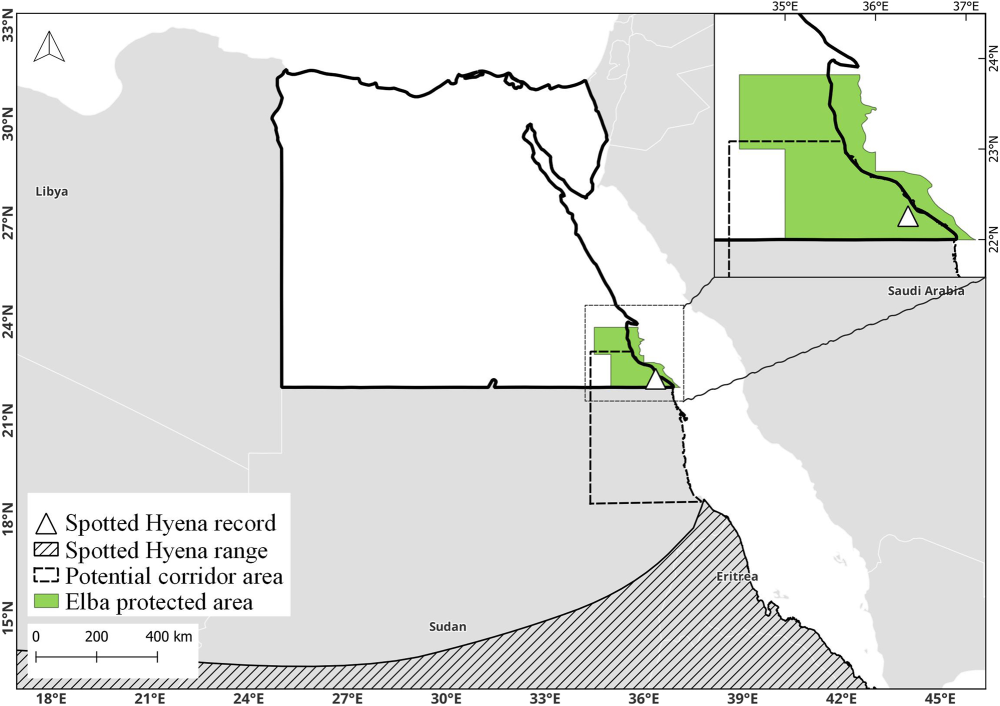 New spotted hyena record in Egypt (triangle) in relation to the known distributional range (hashed) and potential corridor area (bold dashed line) in which NDVI values were calculated between 1984 and 2022 